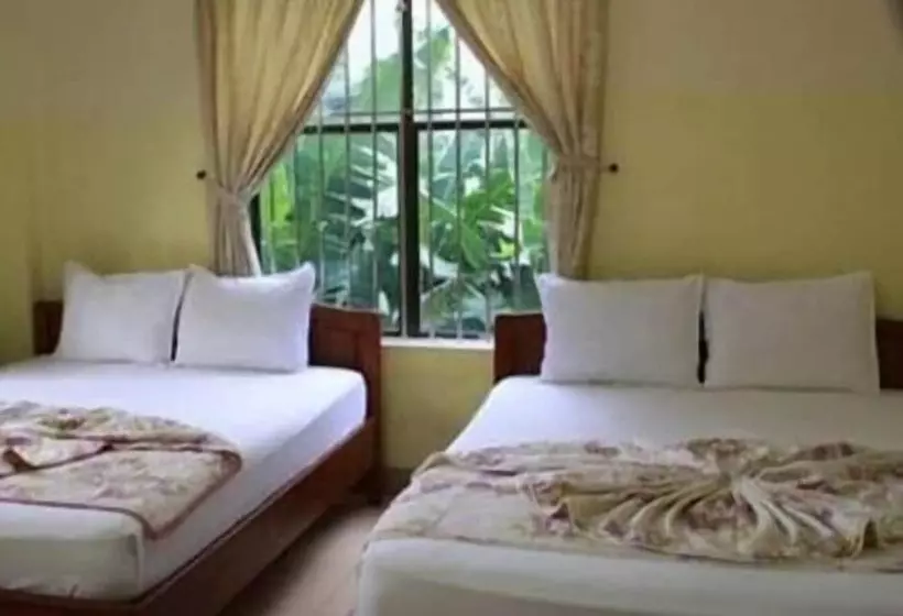 ペンション Phong Lan Guesthouse