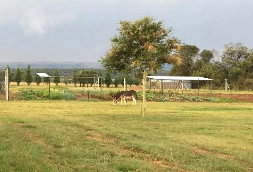 پانسیون Sanctuary Life Guest Farm