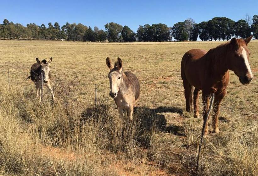 Пансион Sanctuary Life Guest Farm
