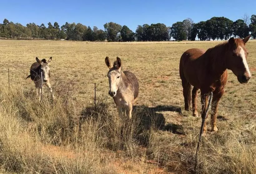 پانسیون Sanctuary Life Guest Farm