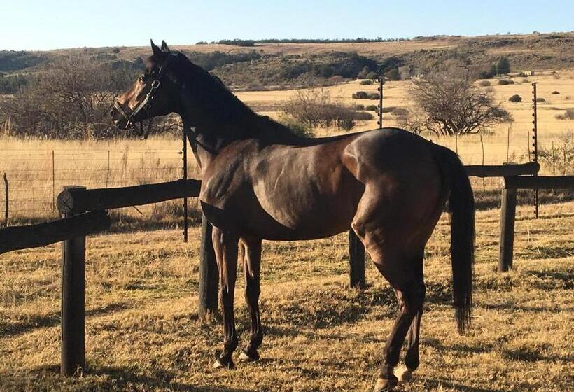Пансион Sanctuary Life Guest Farm