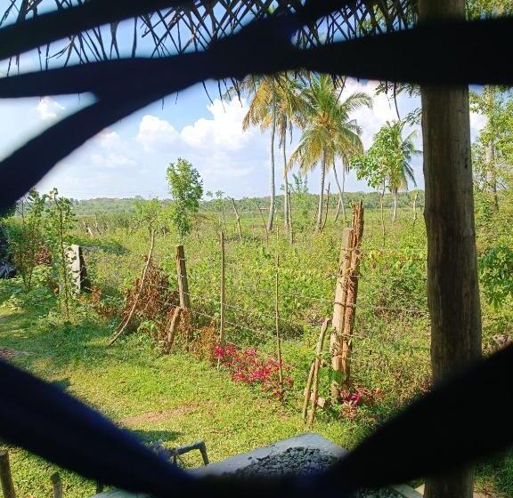 Pension Three Little Birds