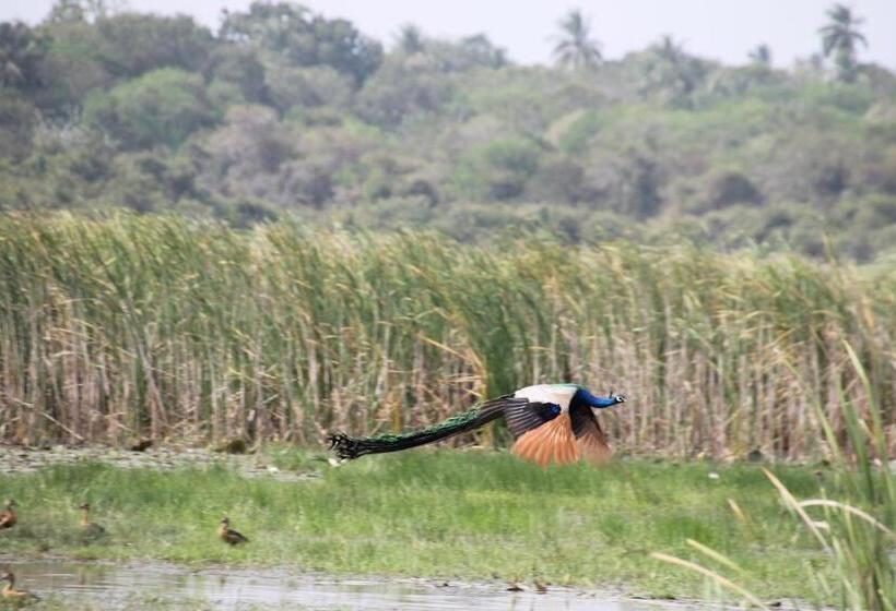 Pension Three Little Birds