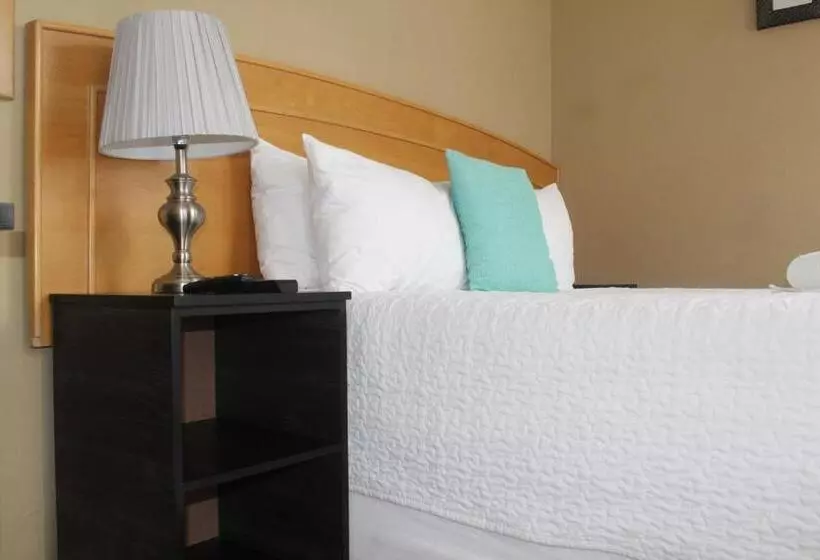 The Anne Guest House