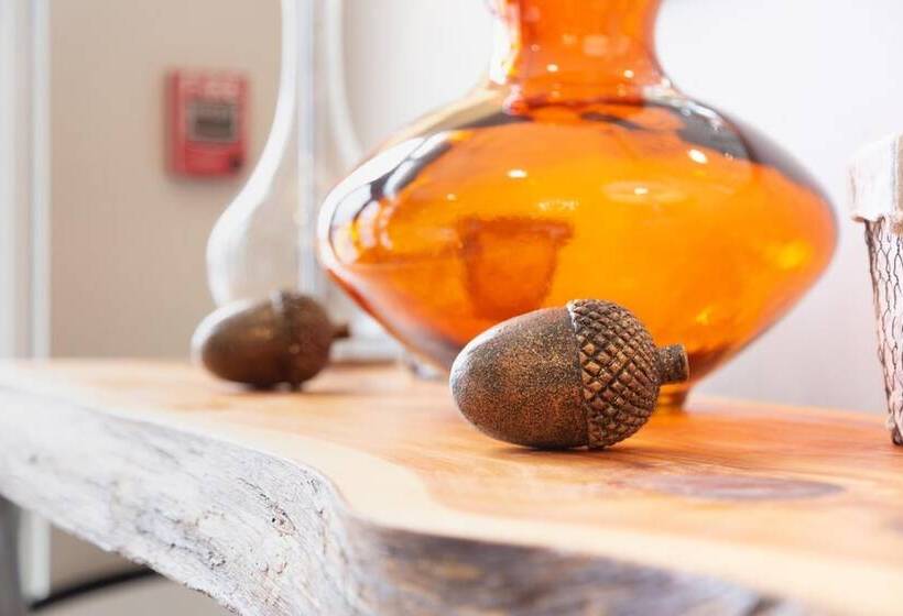 בית מלון כפרי The Acorn Suites