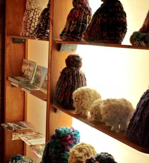 ユースホステル Hospedaje Isla Magdalena