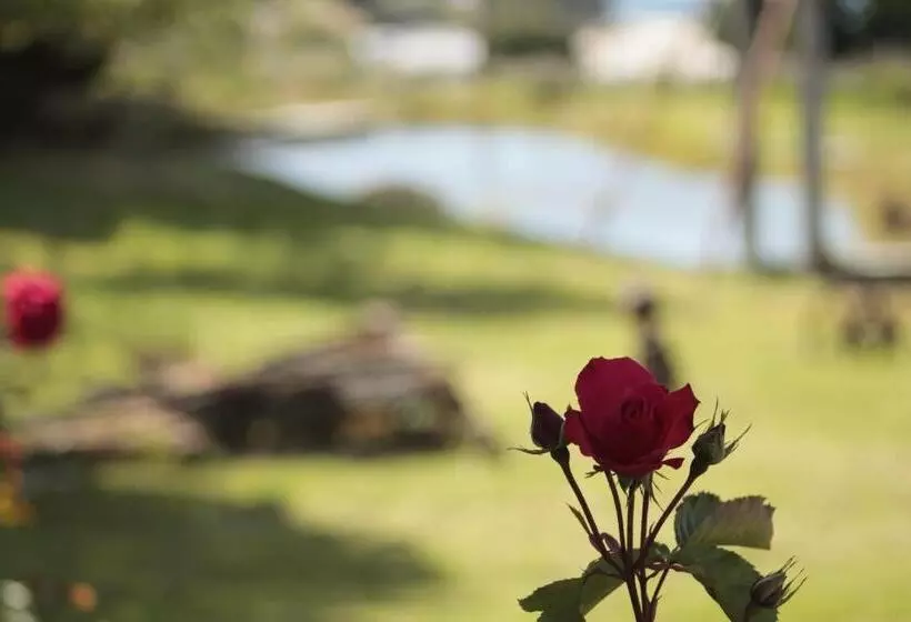 ユースホステル Hospedaje Isla Magdalena