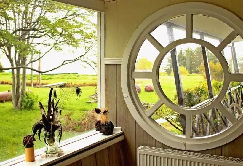 ユースホステル Hospedaje Isla Magdalena