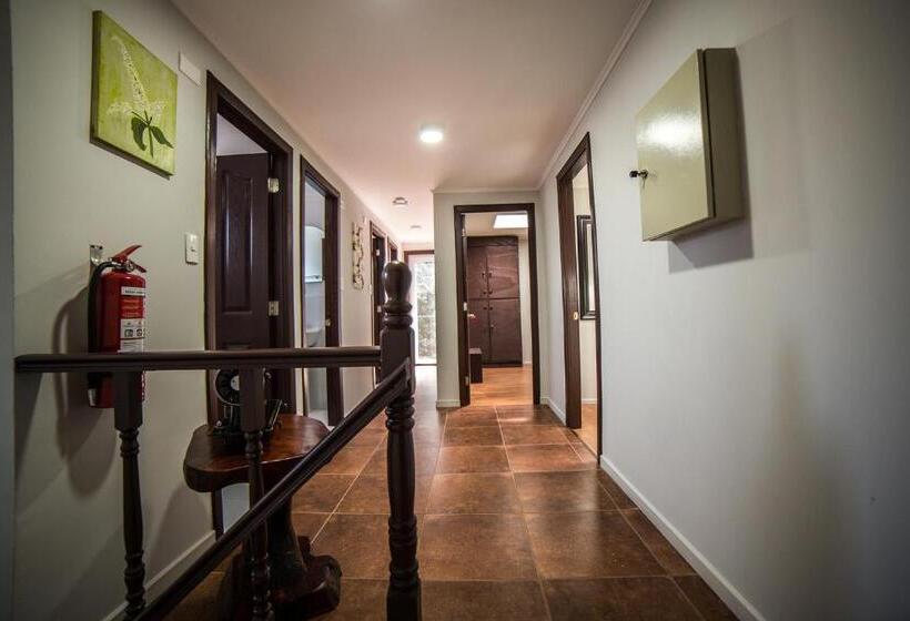 פנסיון Hostel Chaman