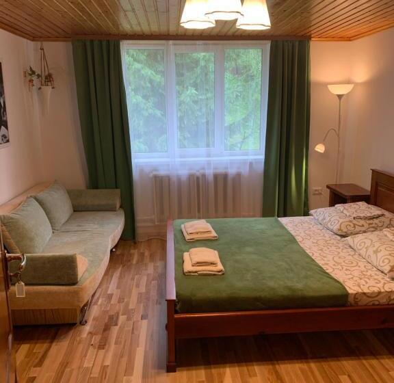 膳宿费 Sadyba Anastasia