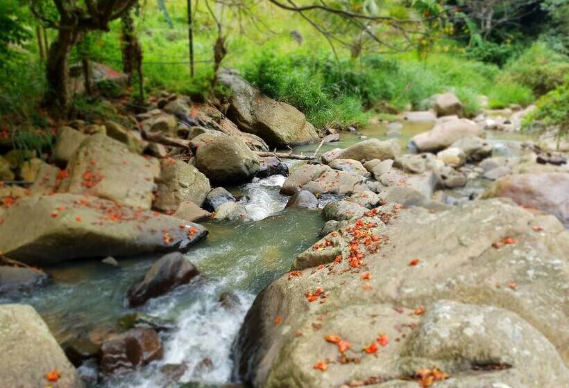 Ostello Ella River House