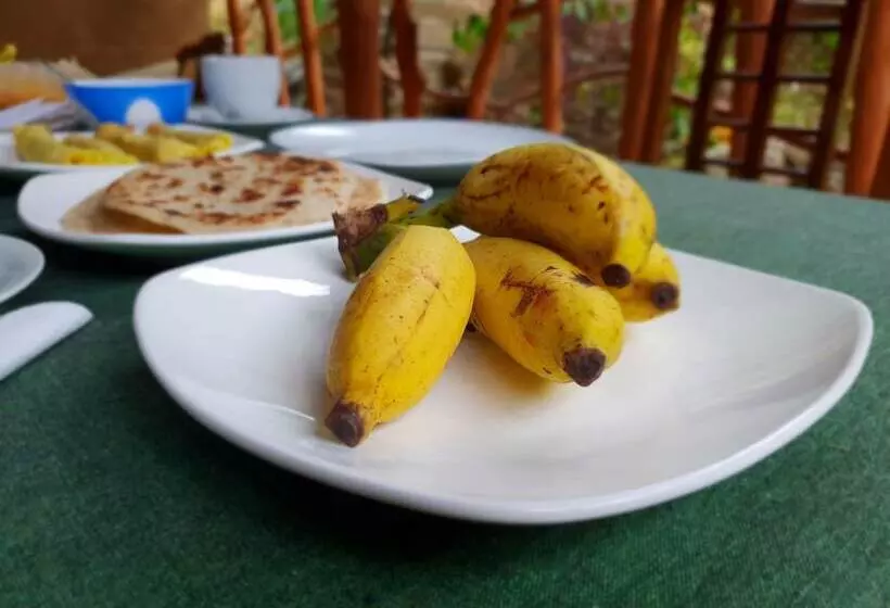 Retkeilymaja Ella River House