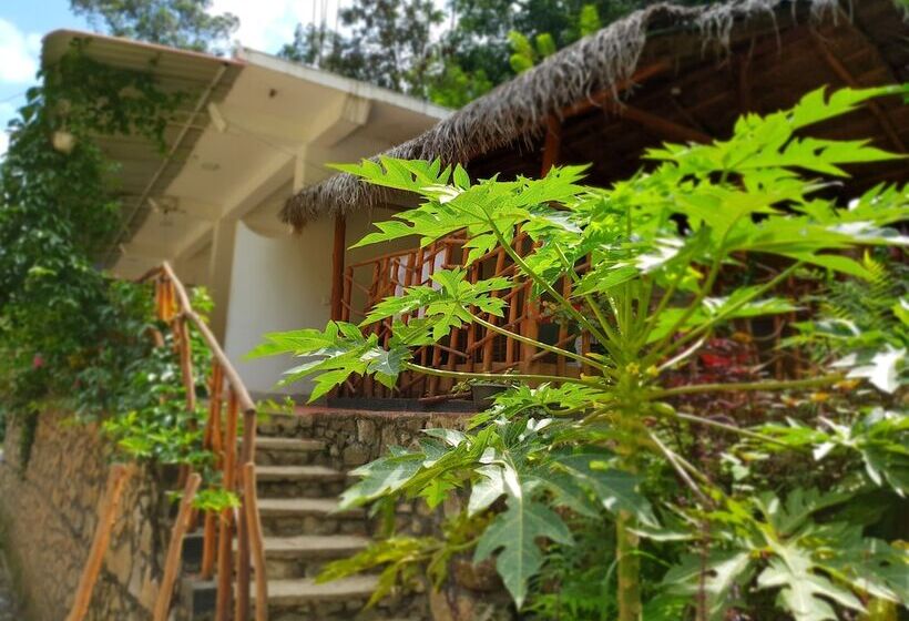 Ostello Ella River House