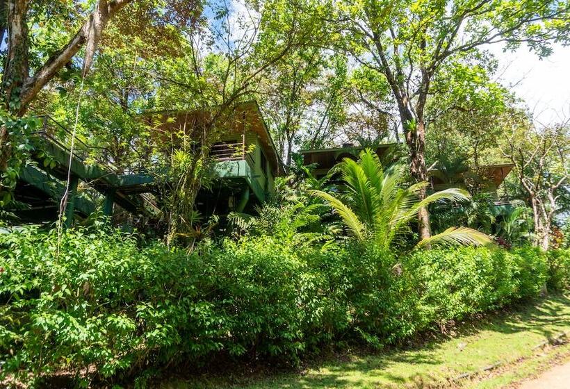 בית מלון כפרי Arbol Verde Villas