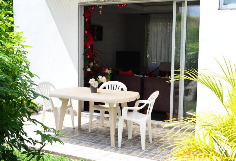 Panzió Aptos Por Dias A 3 K Del Parque Del Café