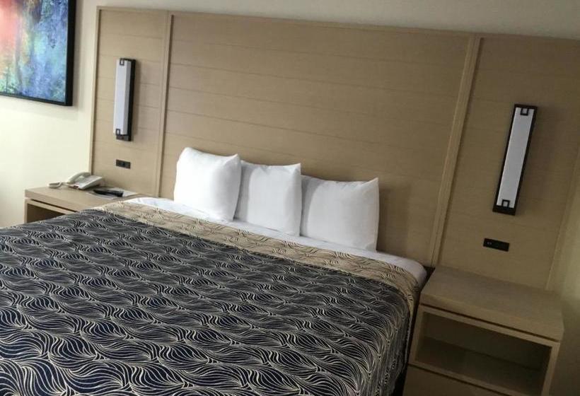 מוטל Palace Inn Harwin