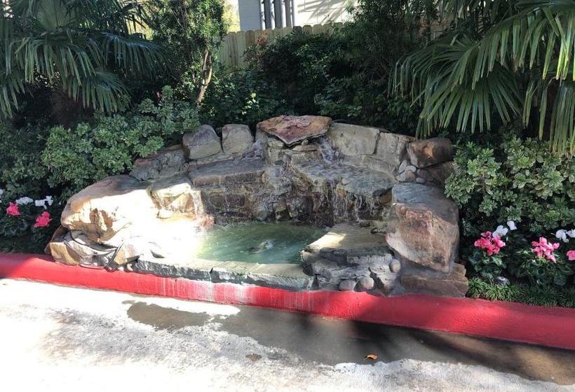 מוטל Palace Inn Harwin