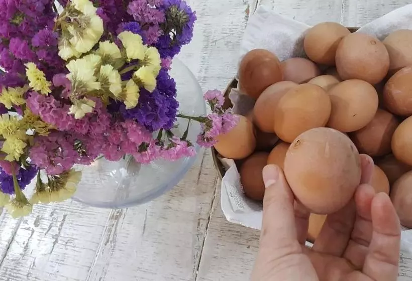 ペンション Guesthouse Jinju