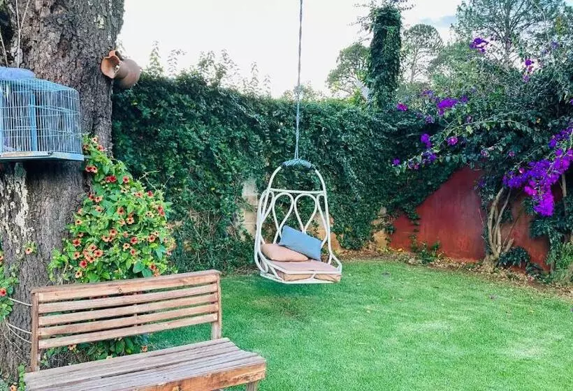 ユースホステル Finca Los Angeles Hospederia & Sociales