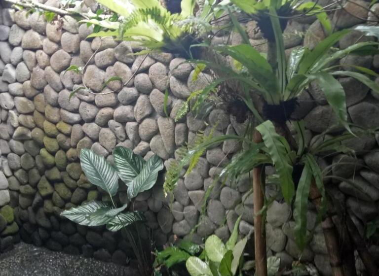 פנסיון Melati Bali Homestay