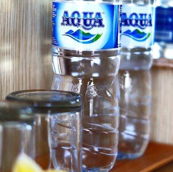 פנסיון The Paving Villa