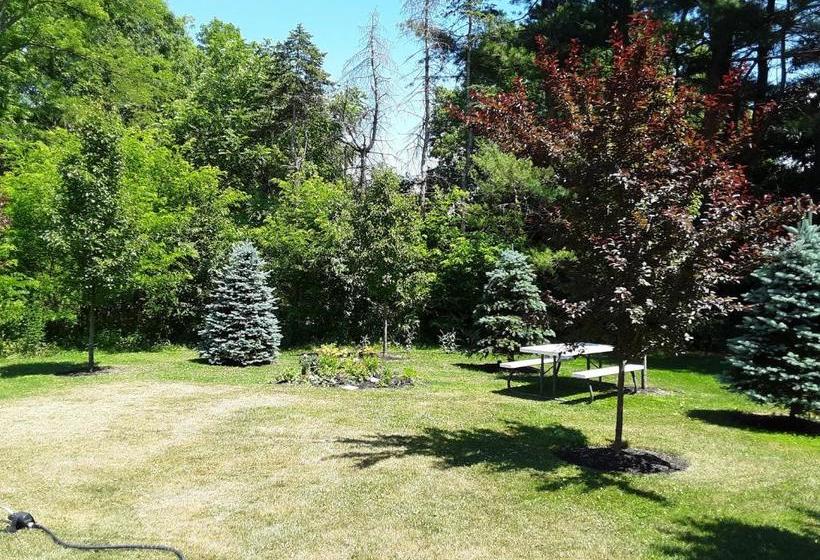 הוסטל The Fields Of Eden Inn