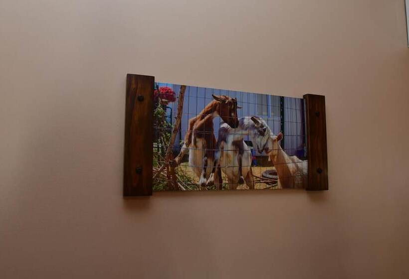 הוסטל The Fields Of Eden Inn