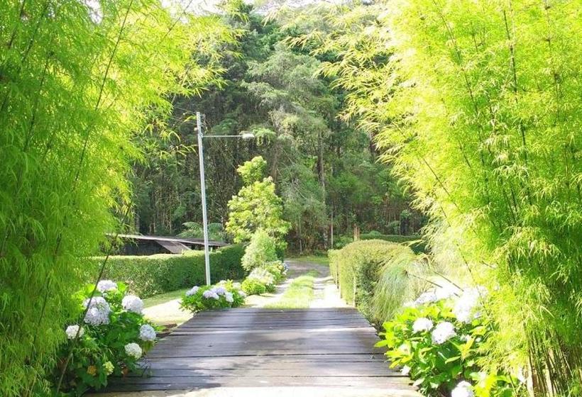 膳宿费 Havilá Arara Azul