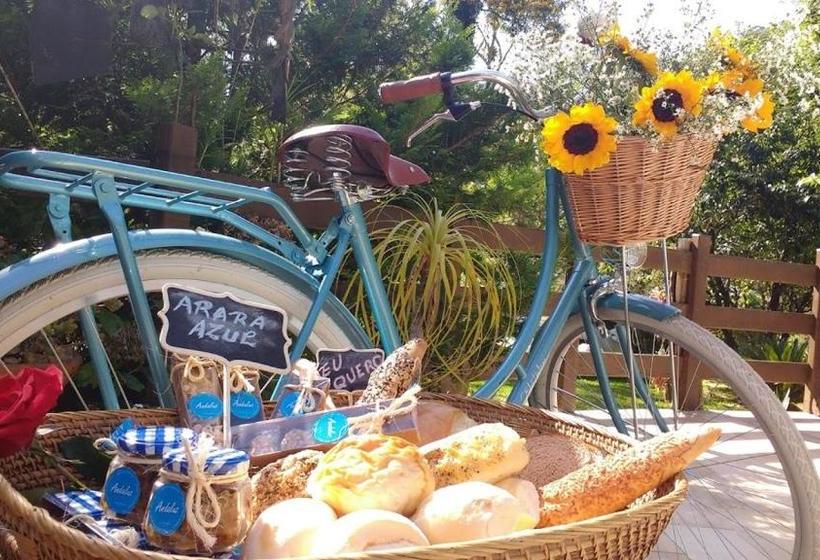 膳宿费 Havilá Arara Azul