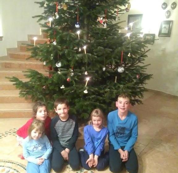 פנסיון Attersee Gartenvilla