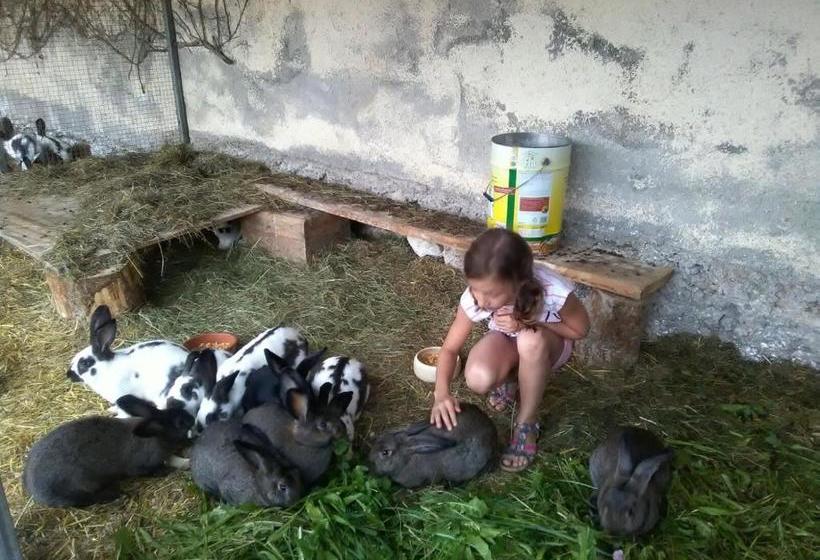 פנסיון Attersee Gartenvilla