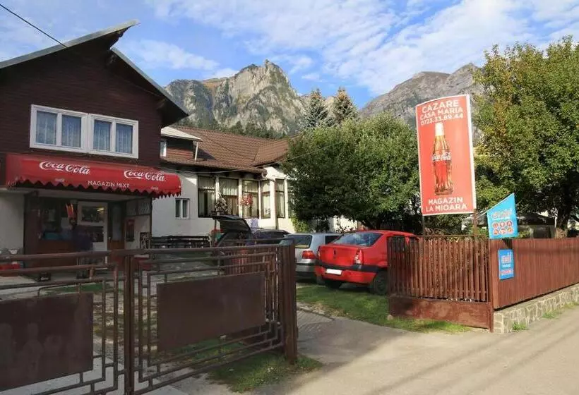 Pensiune Casa Maria Busteni   Poiana Tapului