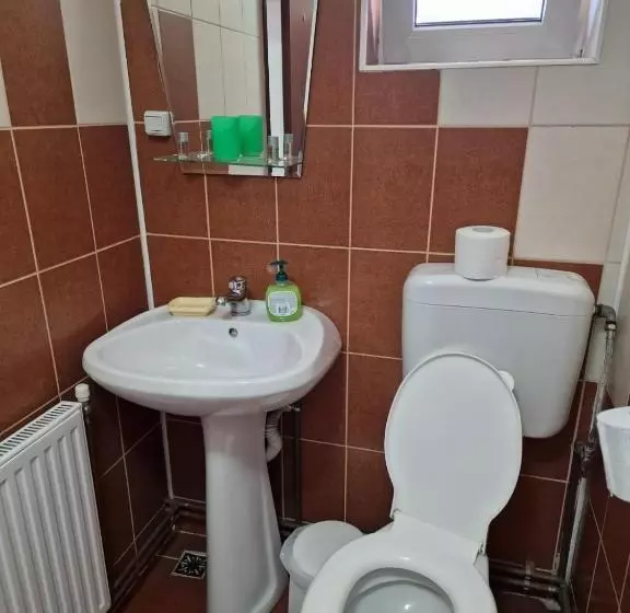 Pensiune Casa Maria Busteni   Poiana Tapului