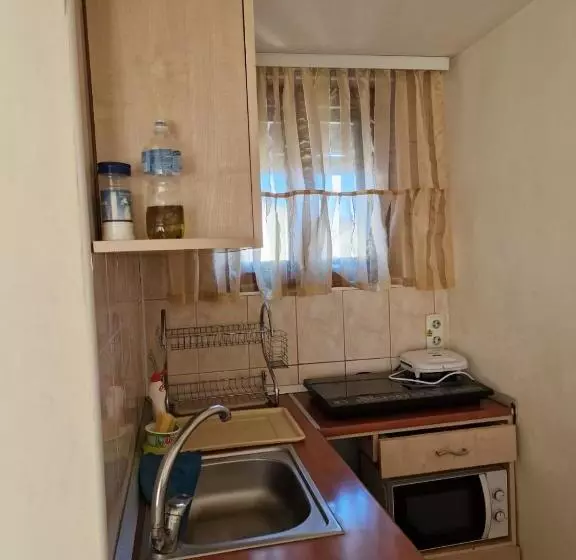 Pensiune Casa Maria Busteni   Poiana Tapului