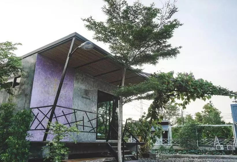 پانسیون Patoey House
