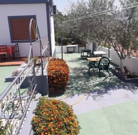 پانسیون Petrit Guesthouse