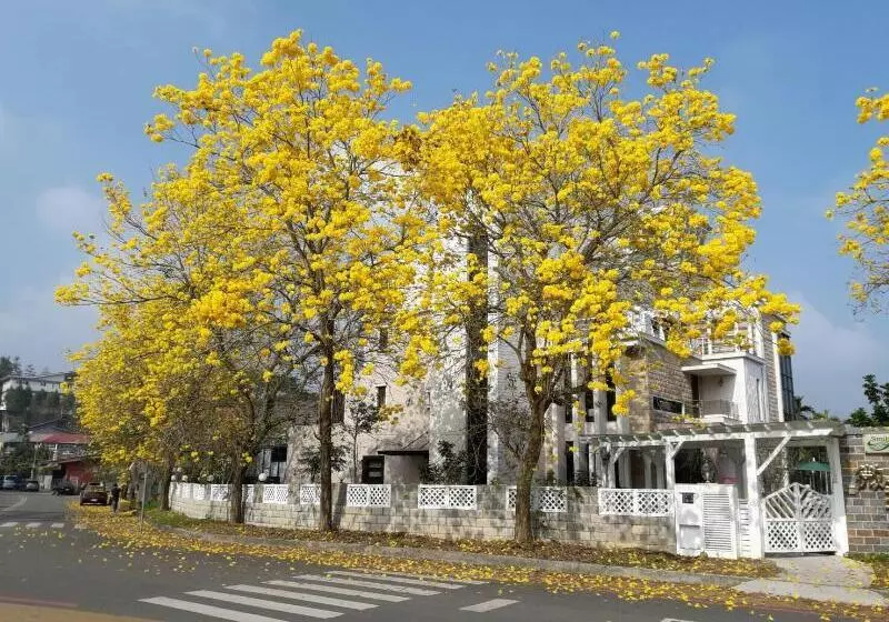 پانسیون Smile Ark Homestay