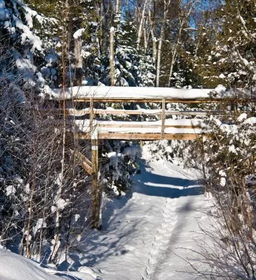 هاستل Poplar Creek Guesthouse