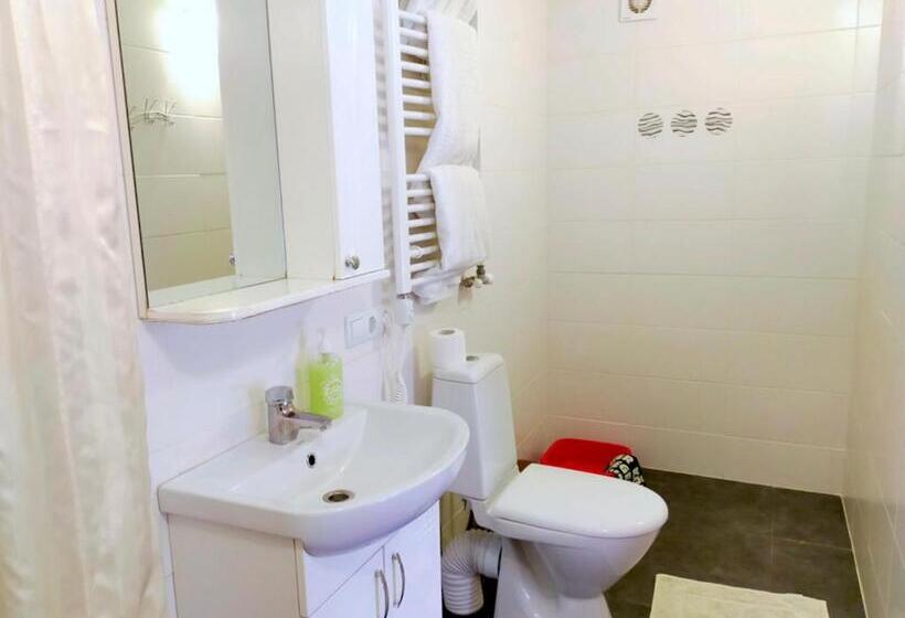 پانسیون U Druziv