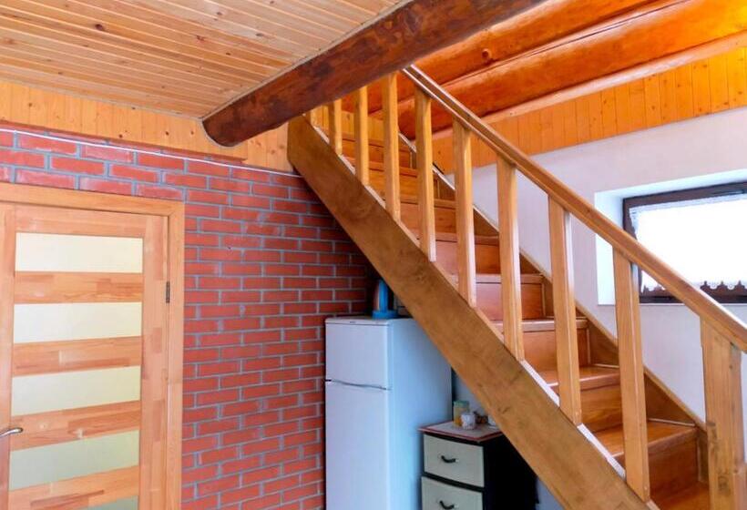 پانسیون U Druziv