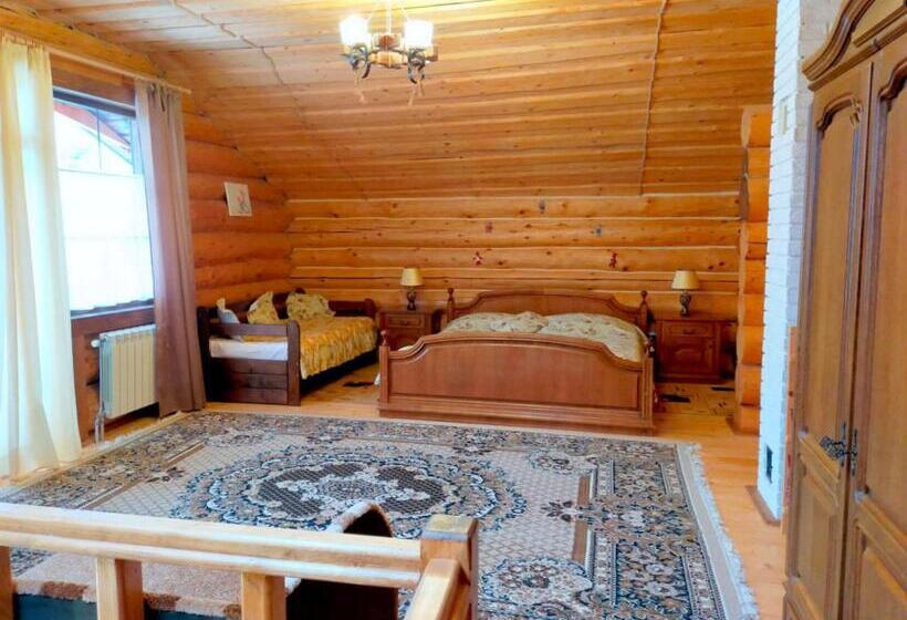 پانسیون U Druziv