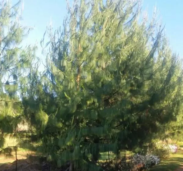 Majatalo Woodcutters Guest House