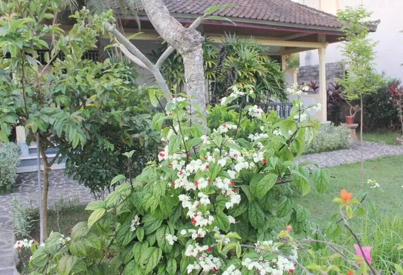 Retkeilymaja Taman Lily S