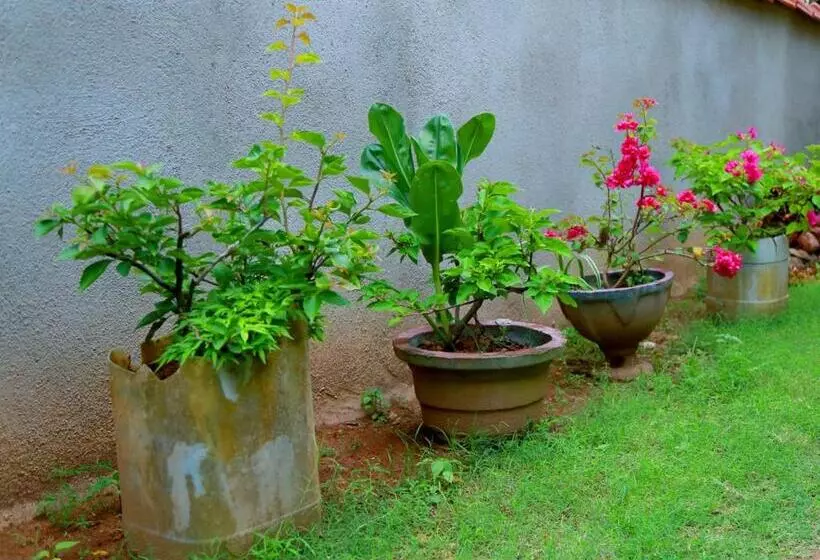 پانسیون Siluni Homes