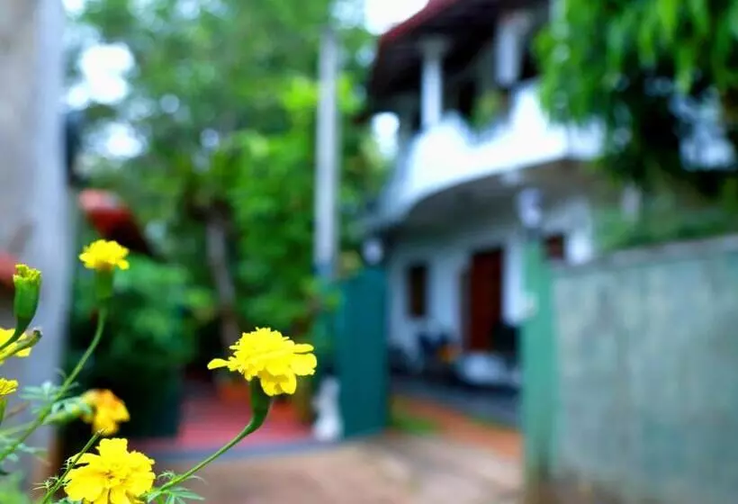 پانسیون Siluni Homes