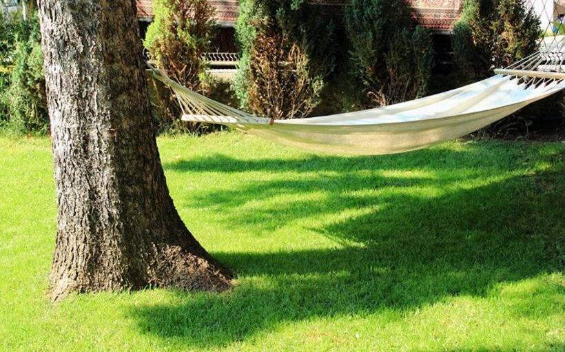 پانسیون Laguna Green Guest House