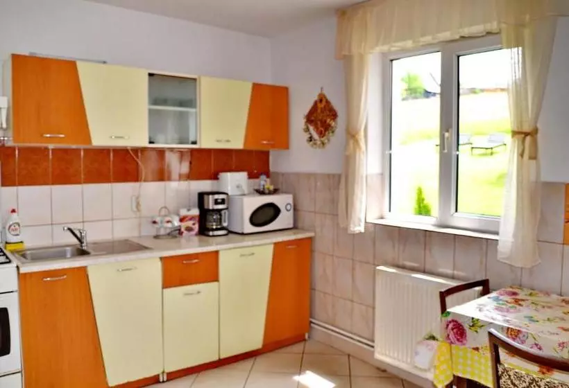 Pensiunea Casa Ady Bran