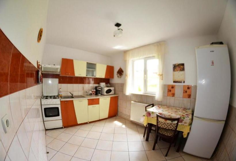 Pensiunea Casa Ady Bran