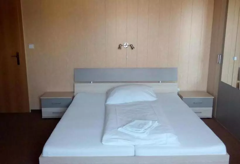 پانسیون Penzion Solid Spa