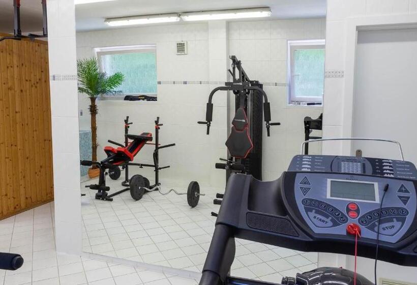 פנסיון Penzion Solid Spa